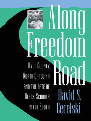 cover image of Along Freedom Road